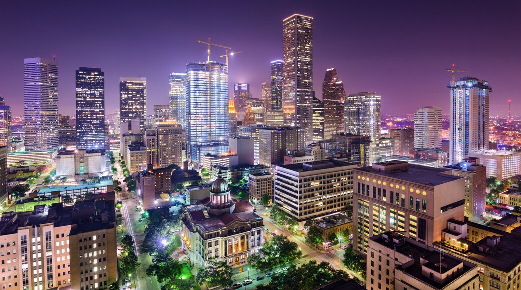 Houston Texas Skyline
