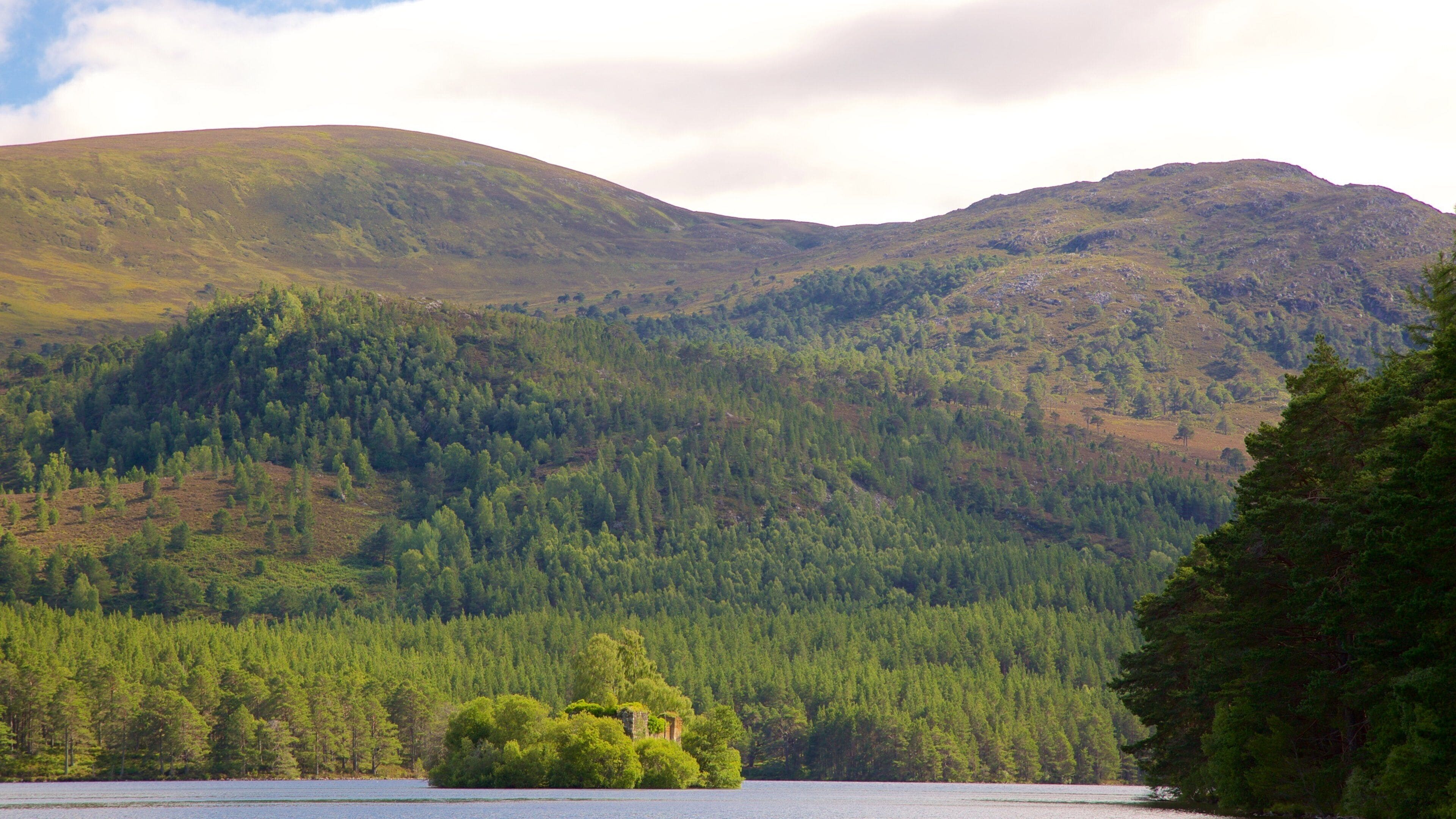 Loch an Eilein que incluye bosques, montañas y un lago o espejo de agua