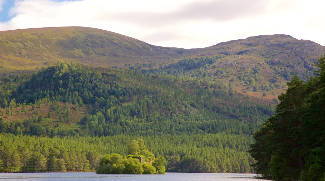 Loch an Eilein mostrando montañas, bosques y un lago o abrevadero