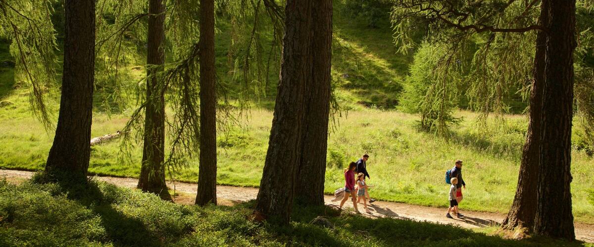 Loch an Eilein welches beinhaltet Wandern oder Spazieren und Waldmotive sowie Familie