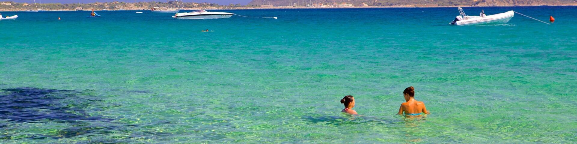 Campus Beach which includes swimming