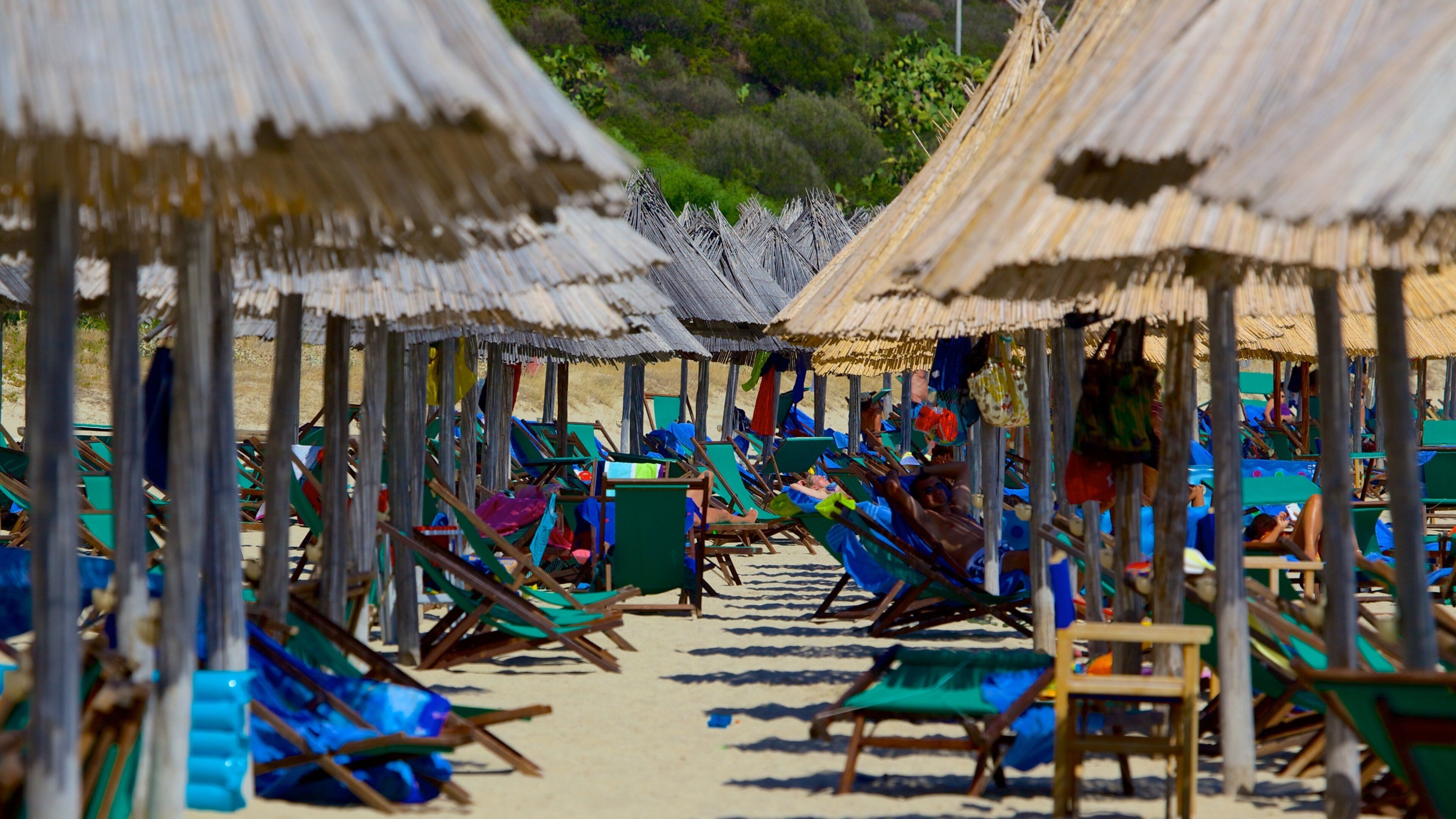 Campus 海灘 设有 沙灘