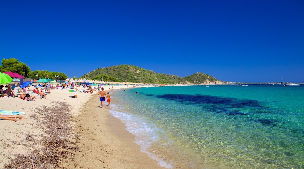 Campus Beach showing a beach