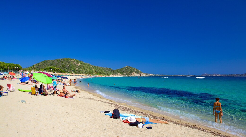 Campus Beach featuring a beach