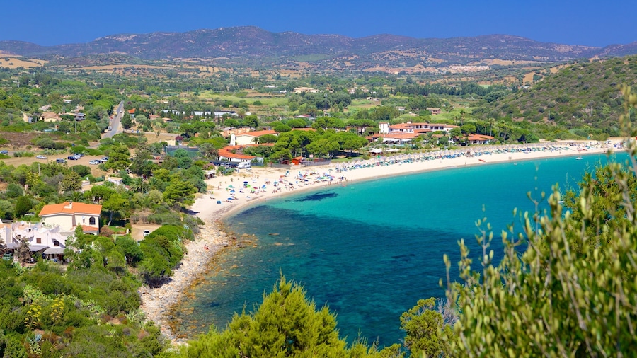 Campus Beach showing a beach
