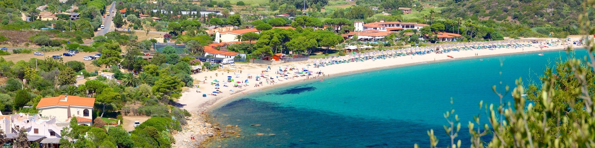 Campus Beach showing a beach