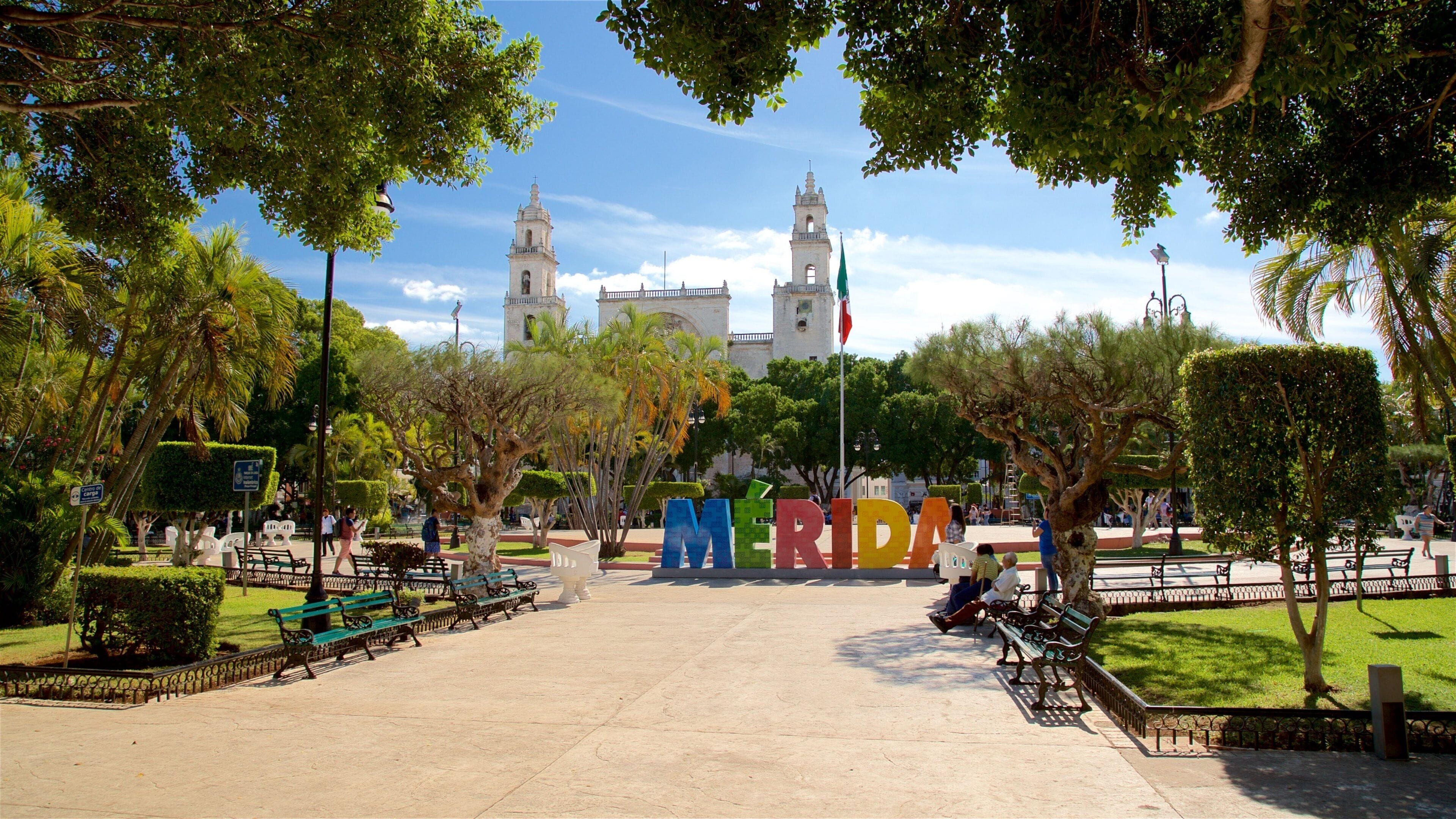 Plaza Grande que incluye un jardín y señalización