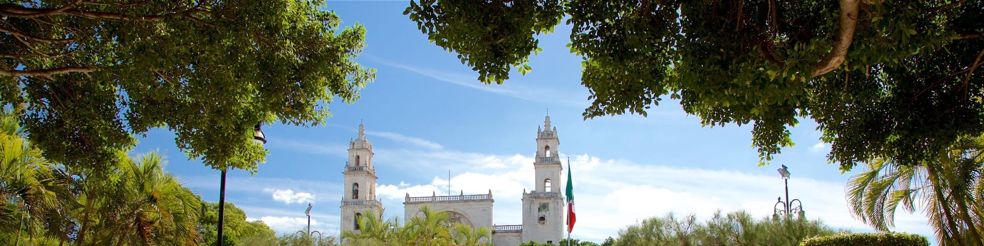 Plaza Grande que incluye un jardín y señalización