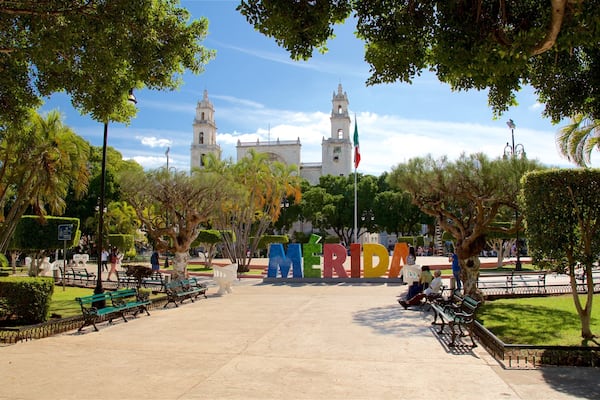 Plaza Grande mostrando señalización y un jardín
