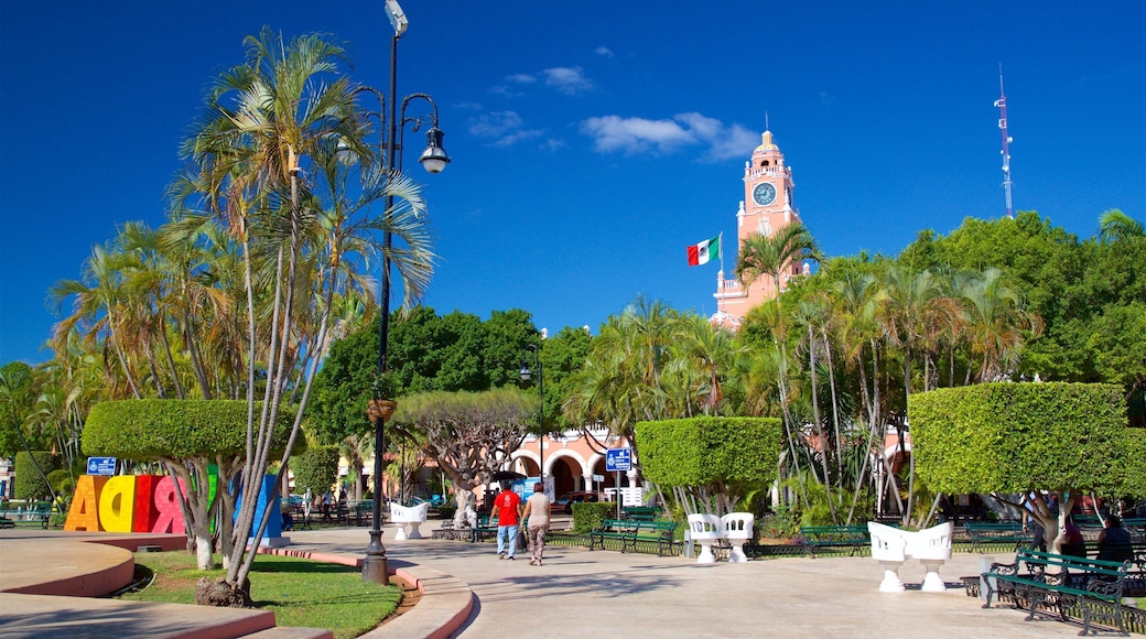 Plaza Grande featuring a park