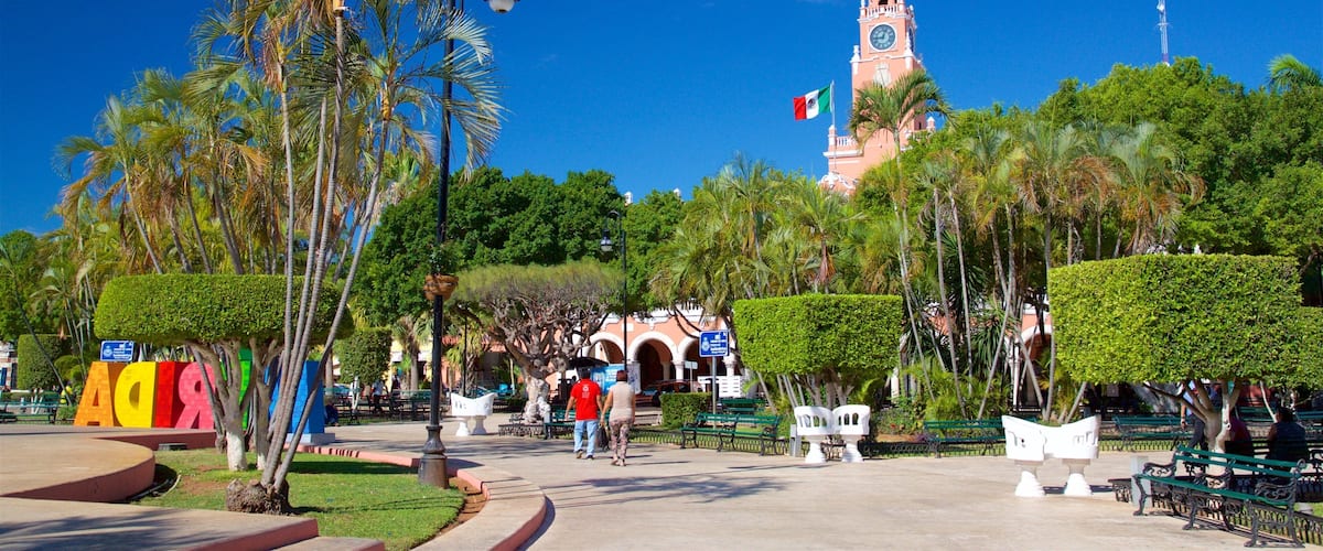 Plaza Grande featuring a park