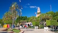 Plaza Grande featuring a park