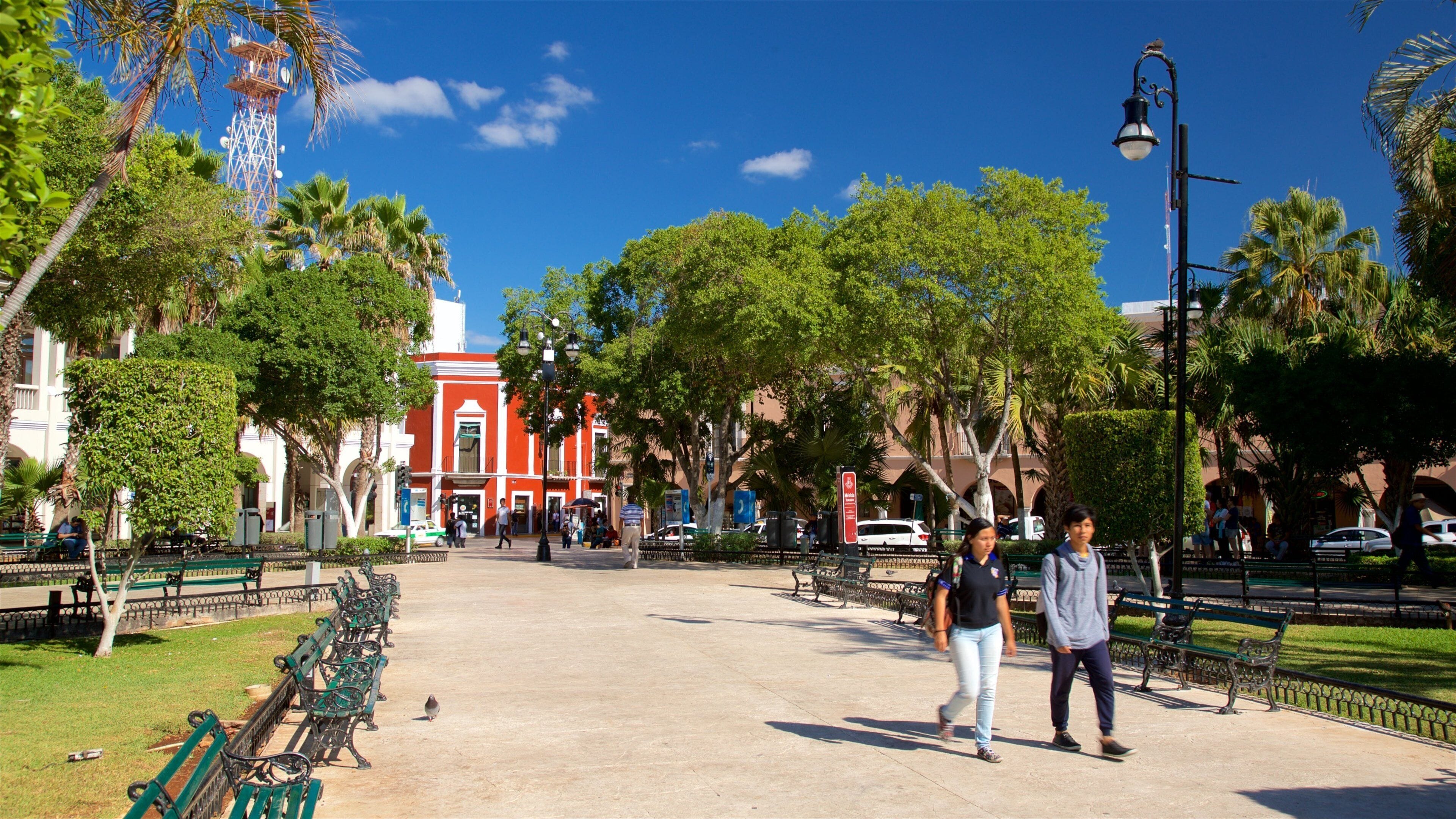 Plaza Grande featuring a garden as well as a couple