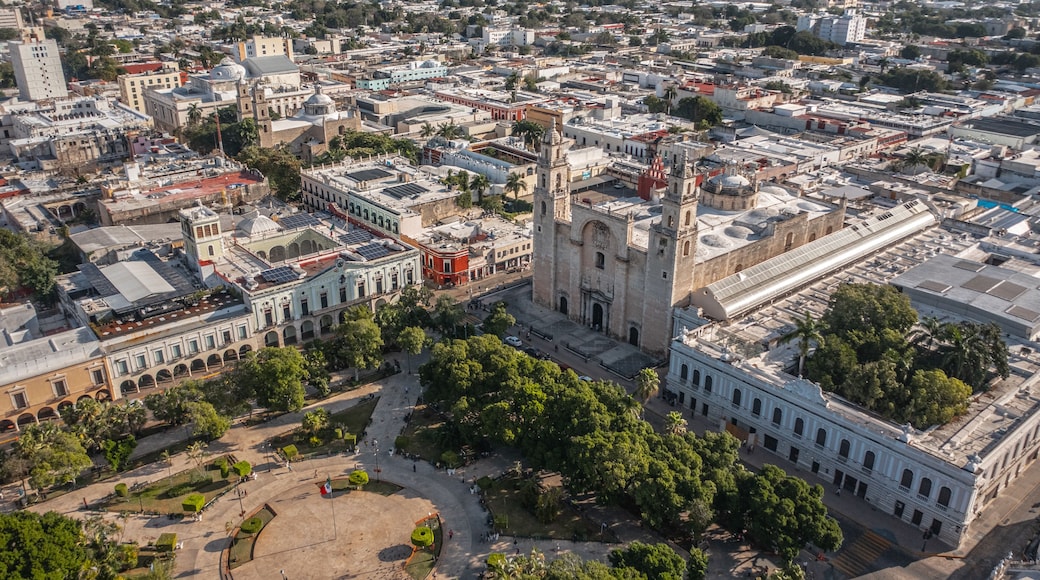 Municipio de Mérida