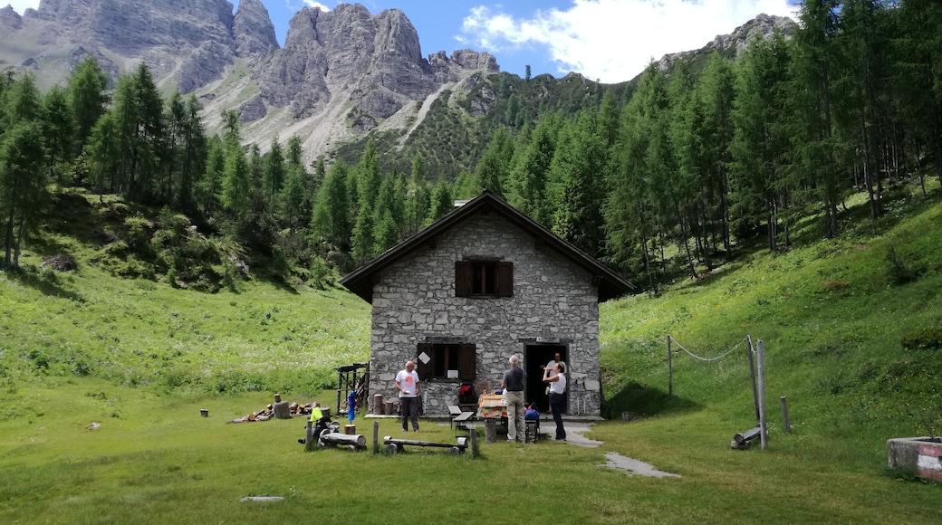 Parco naturale delle Dolomiti Friulane (Q683241)
