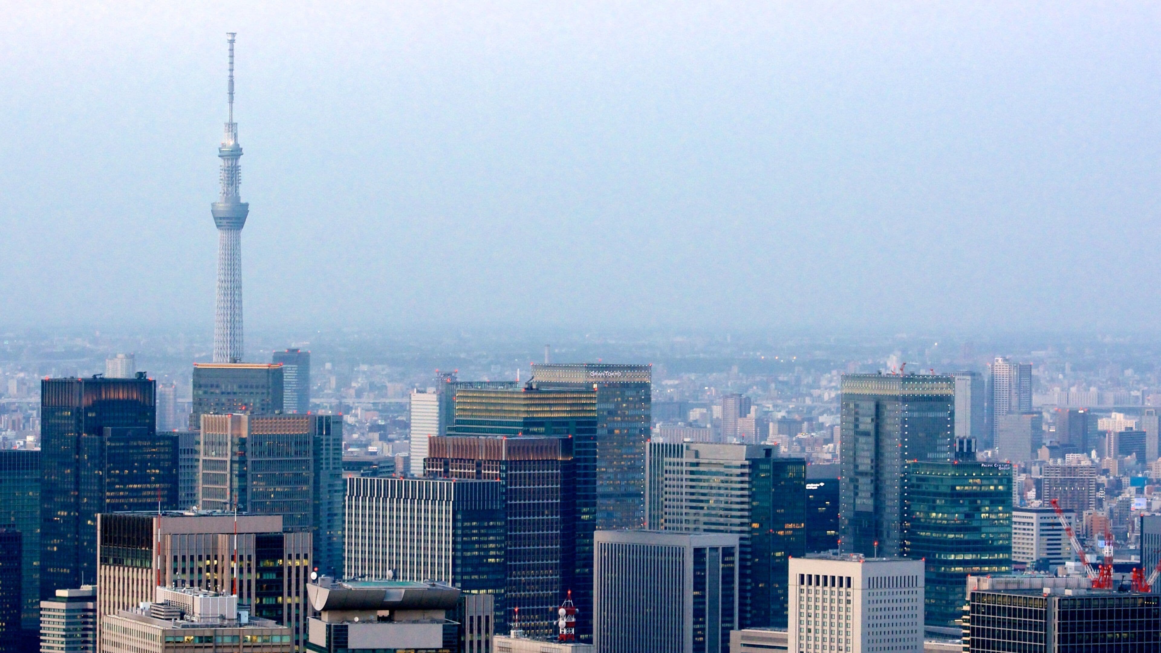도쿄 스카이 트리 을 보여주는 시내 전경 과 풍경