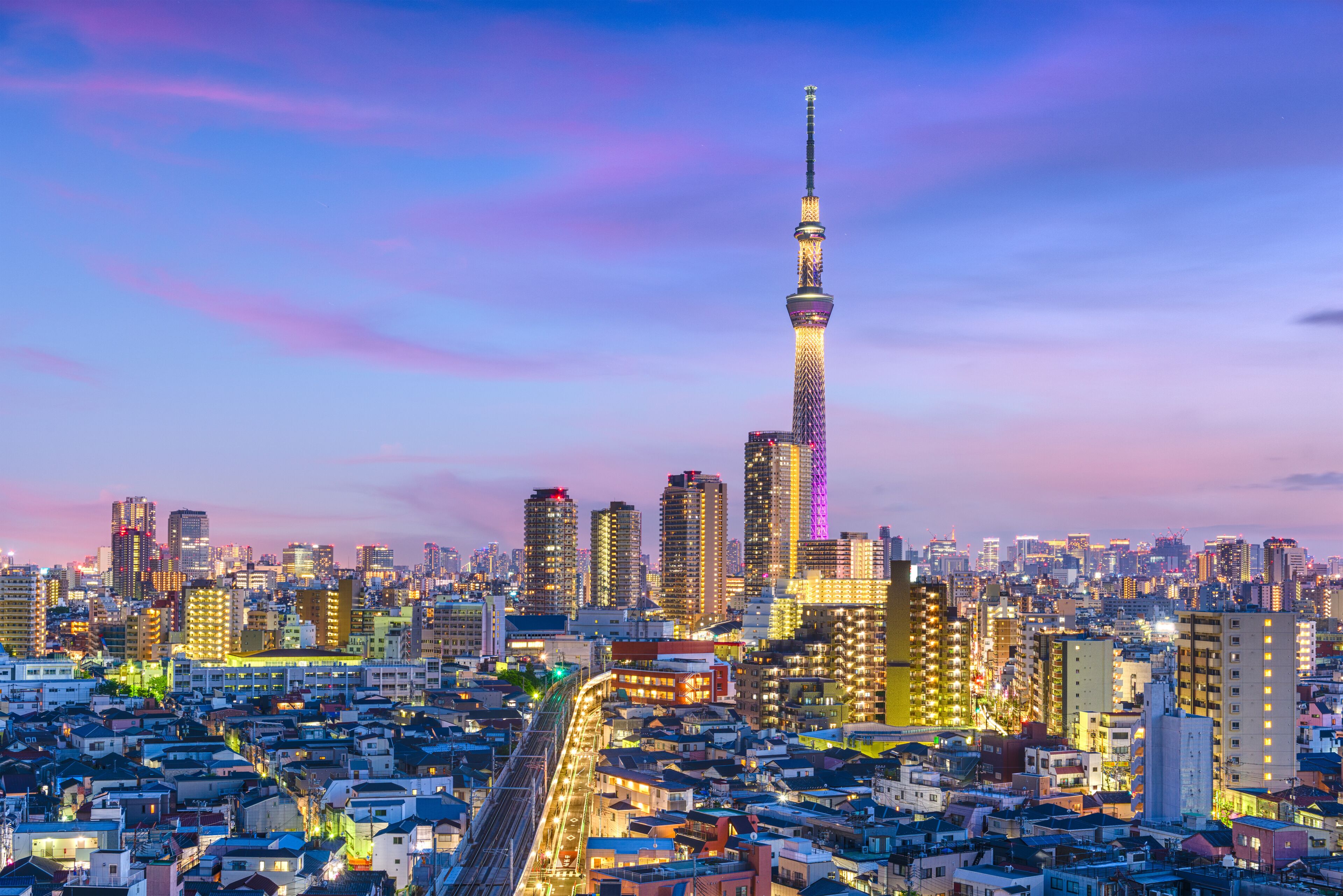 Tokyo, Japan Cityscape