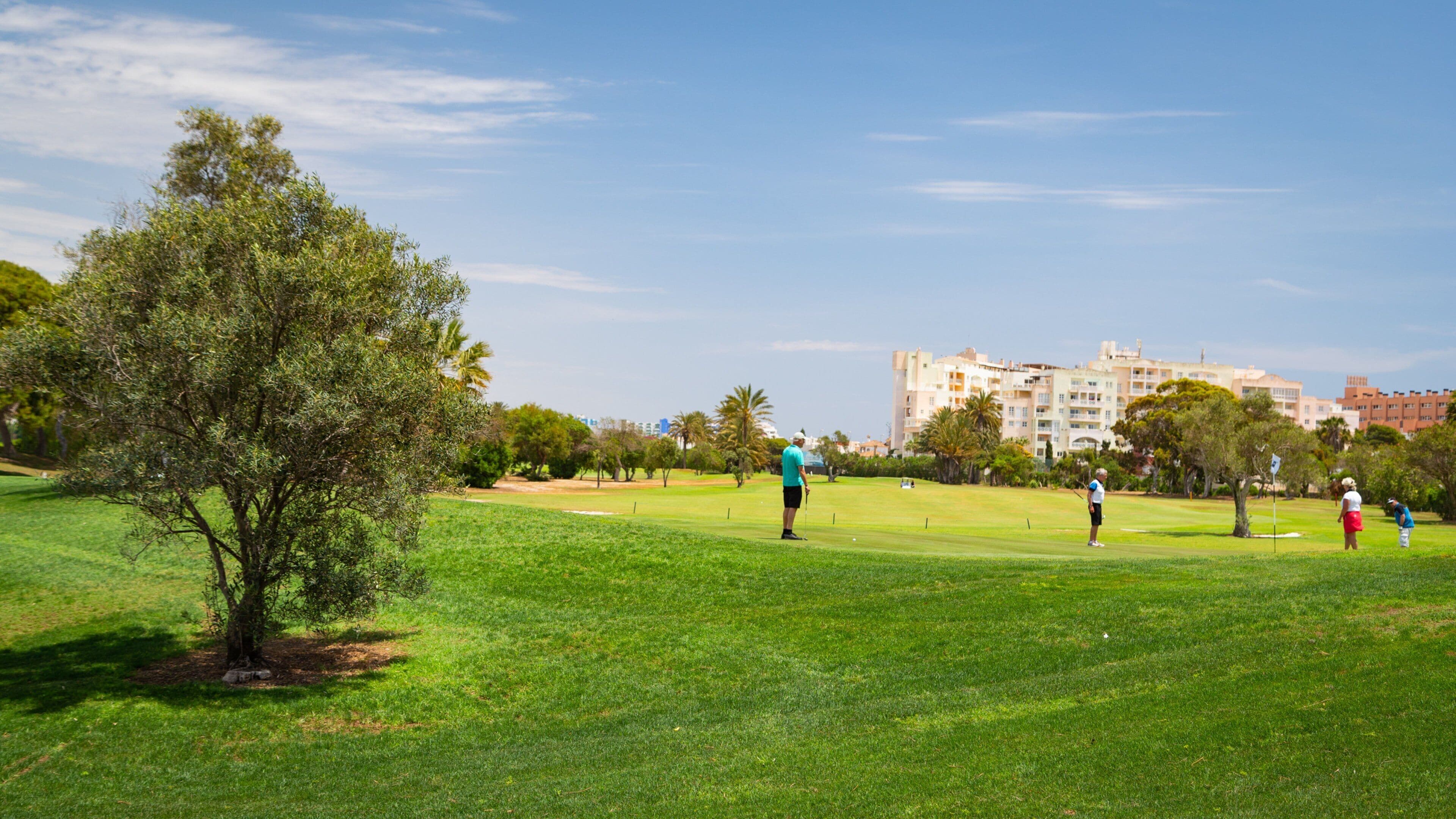 Playa Serena Golf Course showing golf as well as a small group of people