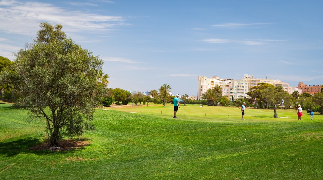 Playa Serena Golf Course showing golf as well as a small group of people