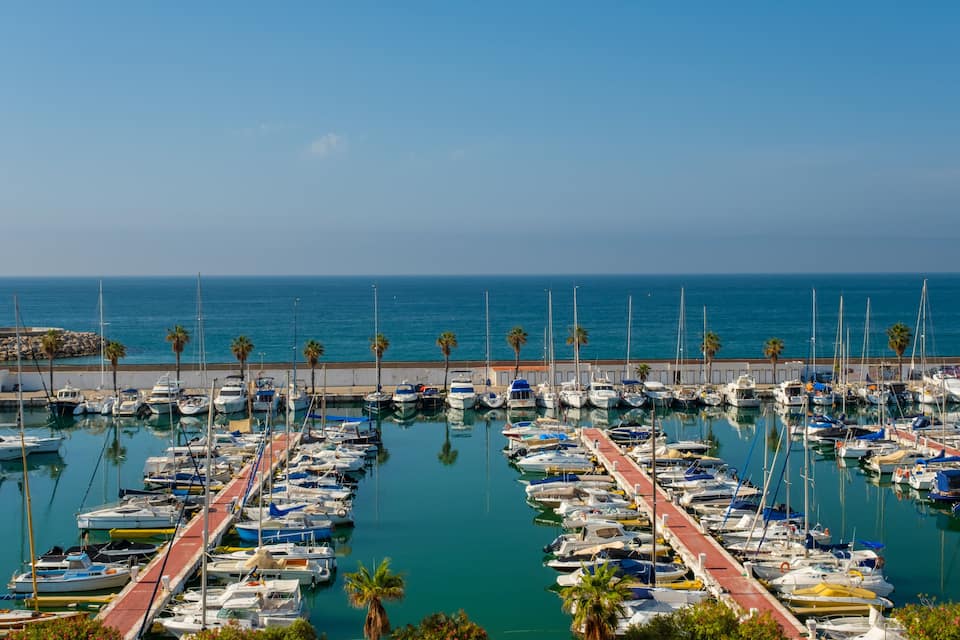 A marina with numerous boats docked along a waterfront, palm trees, and a clear blue sky.