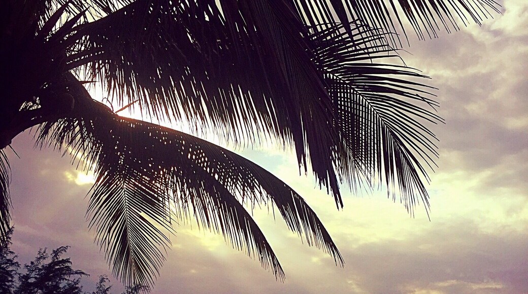 Pre-surf, Guanico Beach