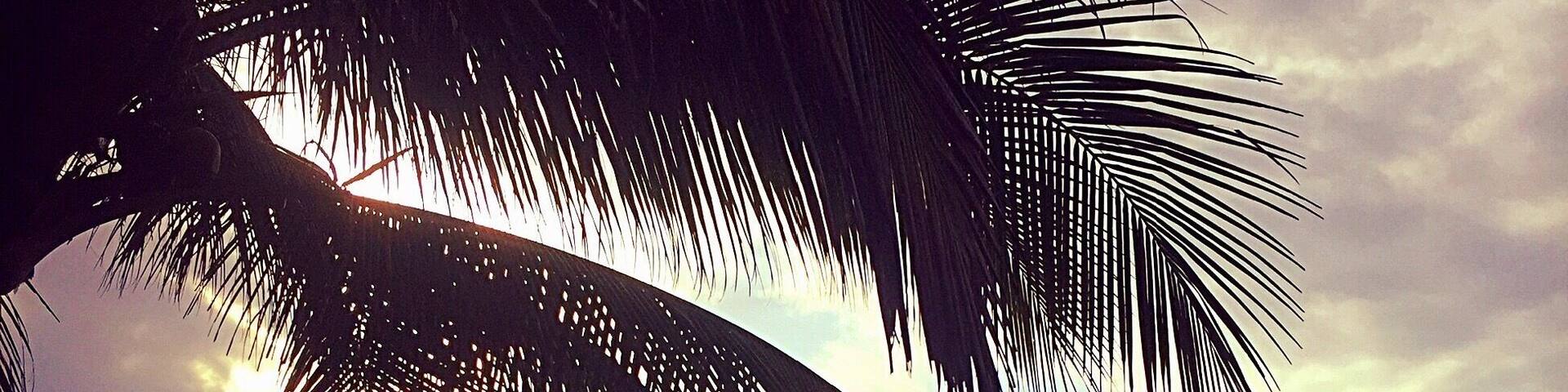 Pre-surf, Guanico Beach