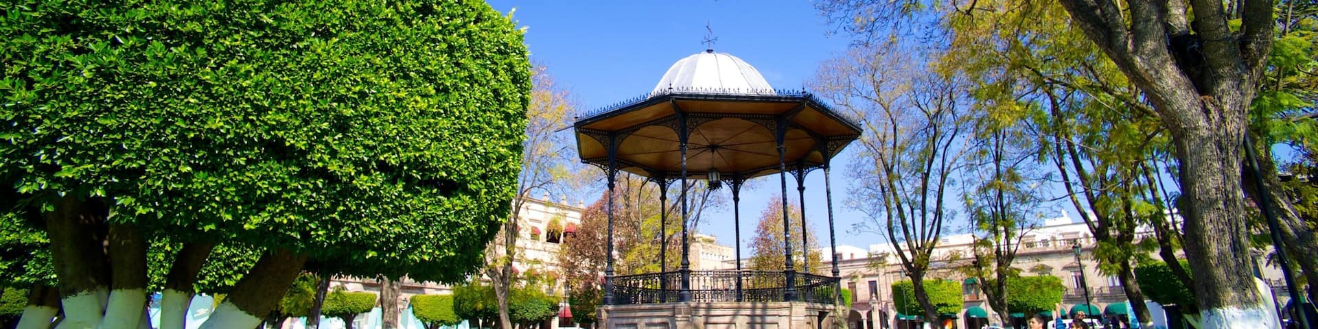 Plaza de Armas mostrando un jardín