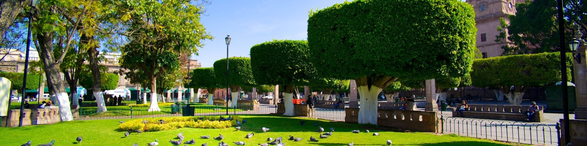 Un parque con palomas, árboles y un edificio histórico al fondo.