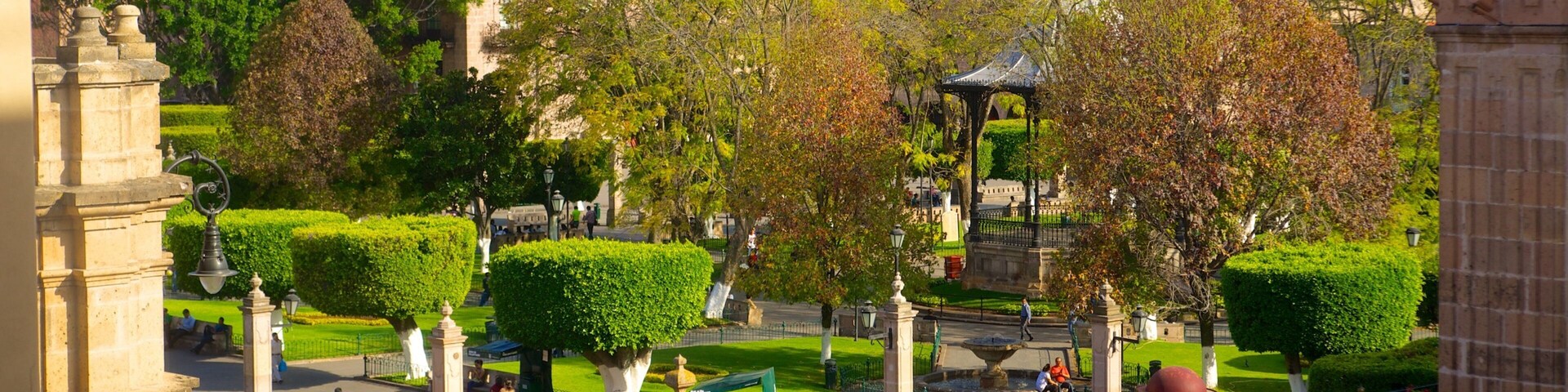 ์๋ฅด๋ง์ค ๊ด์ฅ ์ ๋ณด์ฌ์ฃผ๋ ์ ์