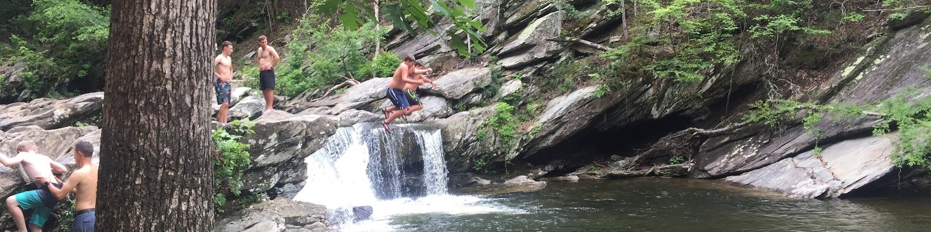 This is my kids' favorite swimming hole. Now is the best time to go, later in the summer that waterfall will be almost dry.
#waterfall #swimminghole #alabama