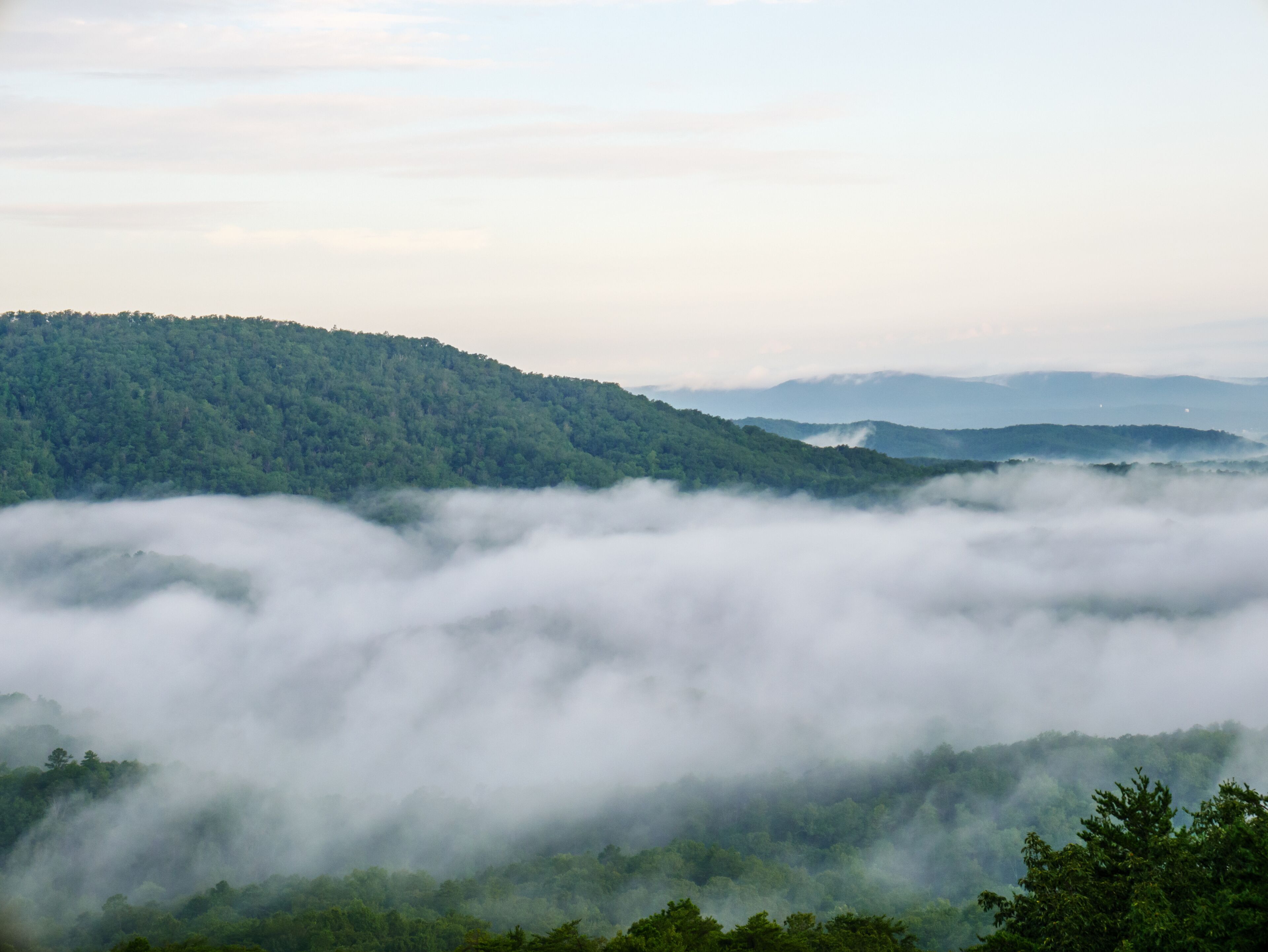 fog in the valley below a scenic overlook along the skyway motorway in the talladega national forest, alabama, usa
