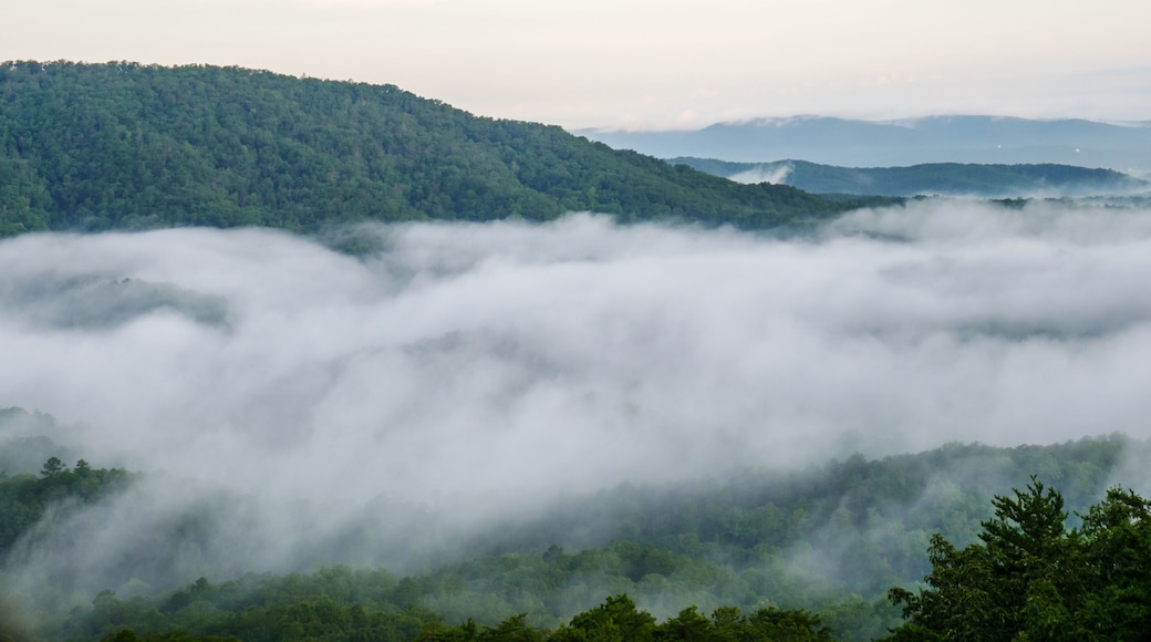 fog in the valley below a scenic overlook along the skyway motorway in the talladega national forest, alabama, usa