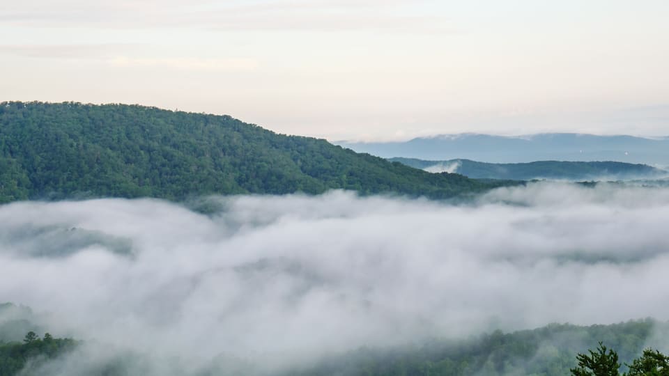 A forested mountain range with dense fog covering the lower elevations.
