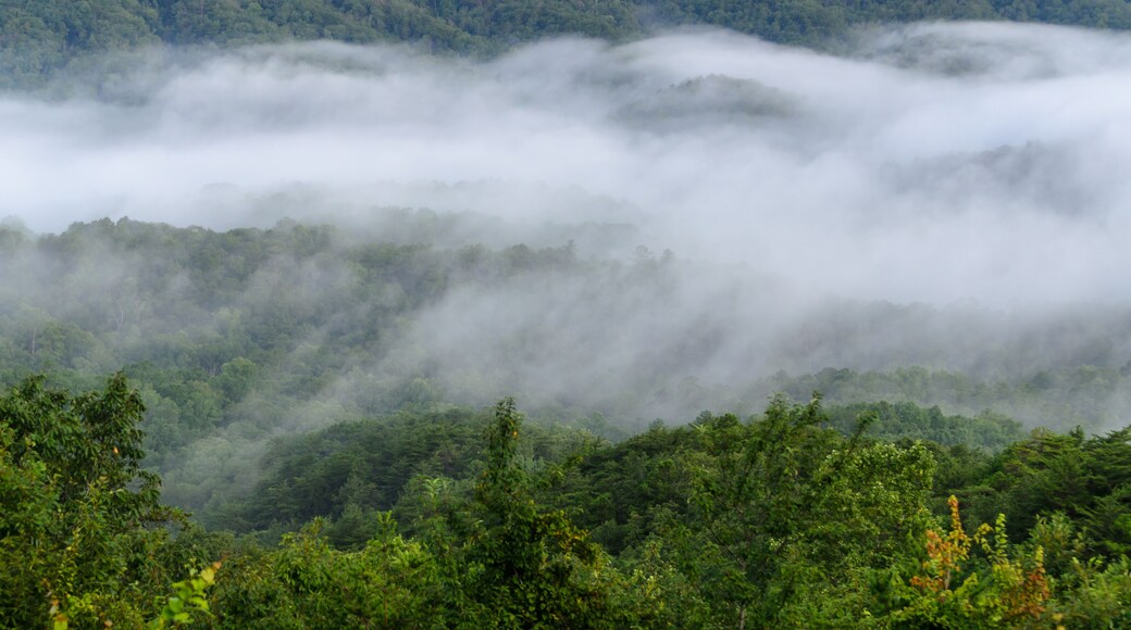 fog in the valley below a scenic overlook along the skyway motorway in the talladega national forest, alabama, usa