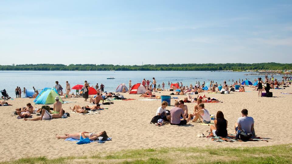 A crowded beach with people sunbathing and swimming.