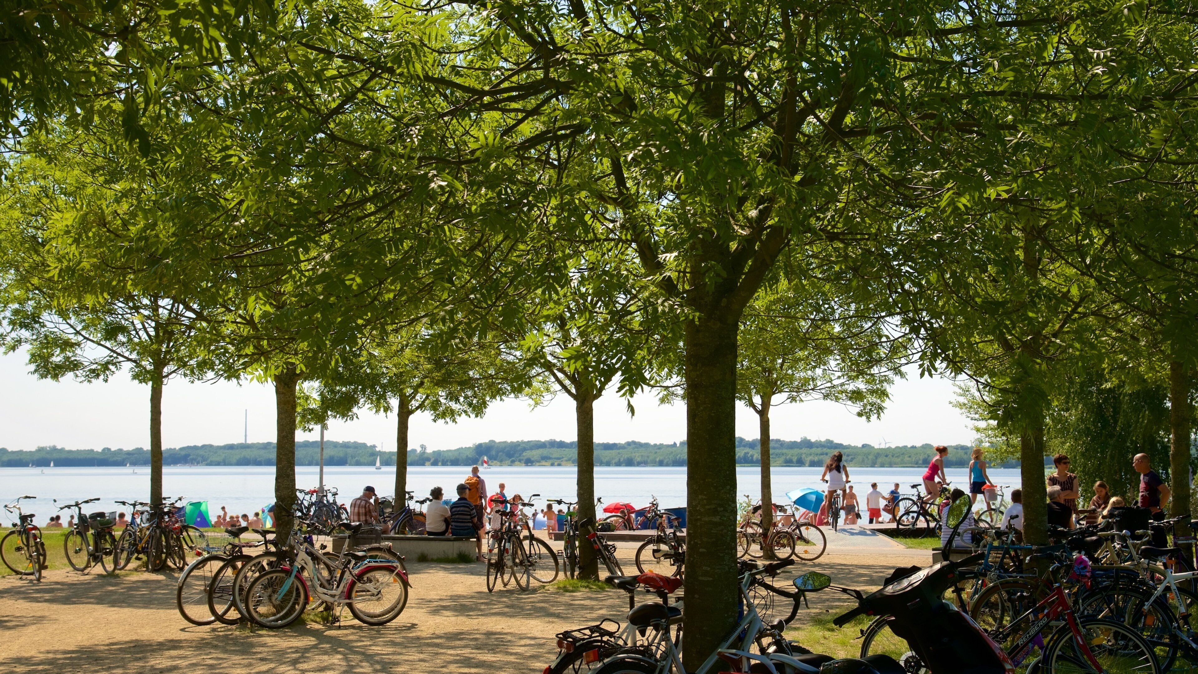 Hồ Cospudener trong đó bao gồm sông lạch và đạp xe