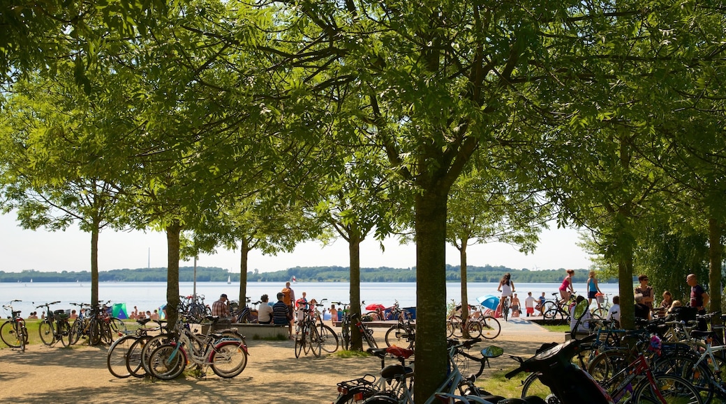 Cospudener Lake which includes cycling and a river or creek