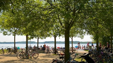 Cospudener See montrant riviÚre ou ruisseau et vélo