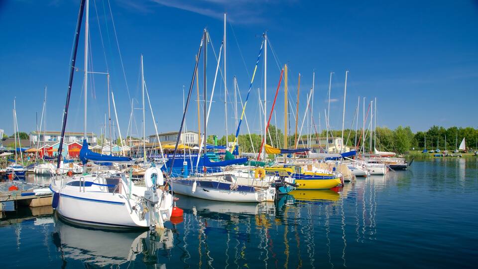 A marina with various sailboats docked, surrounded by buildings and greenery.