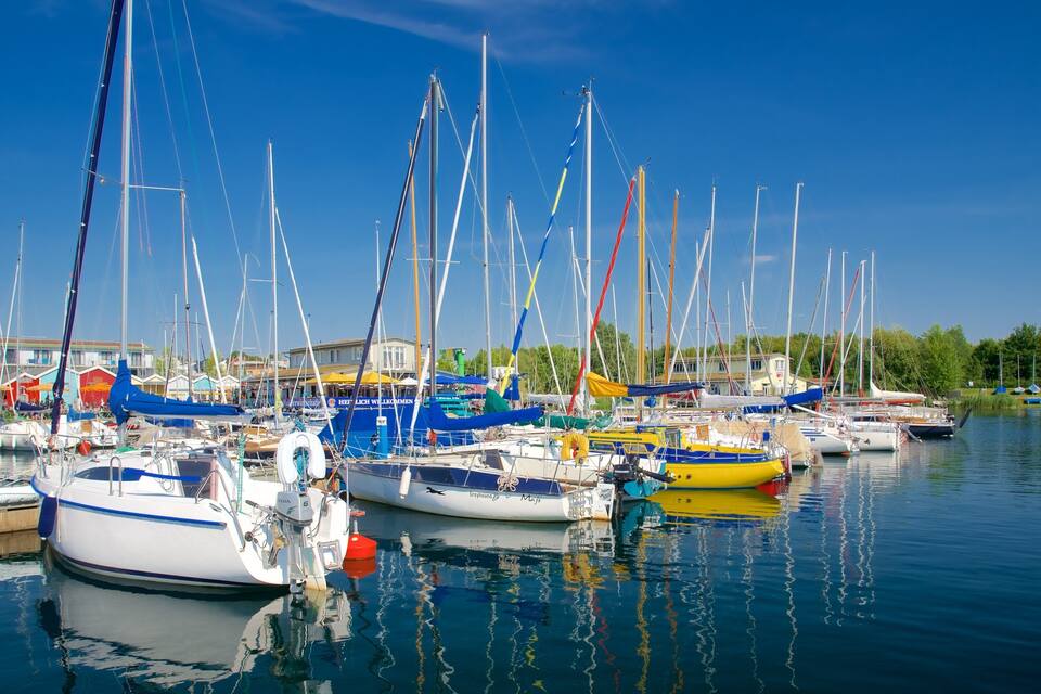 A marina with various sailboats docked, surrounded by buildings and greenery.