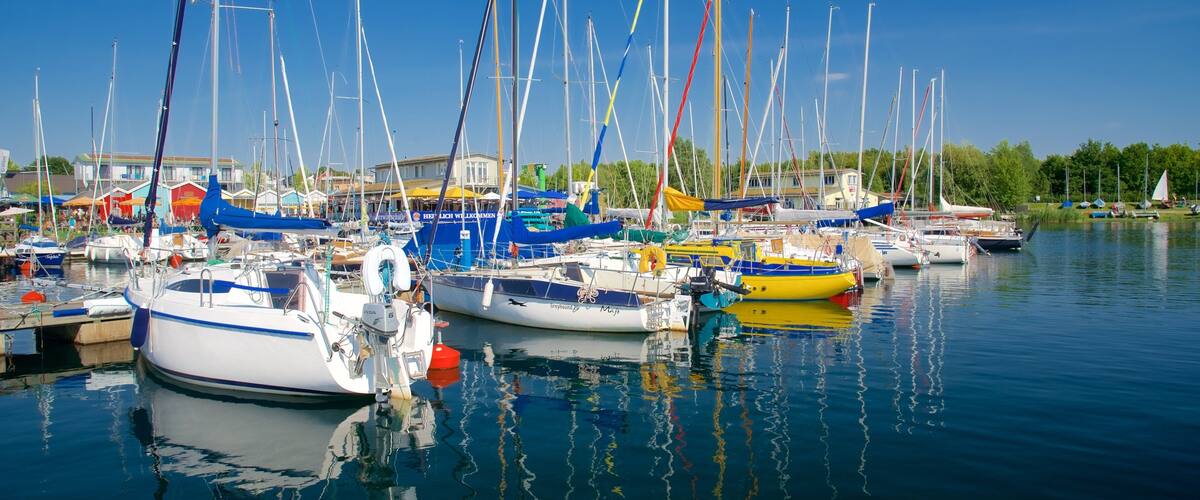 A marina with various sailboats docked, surrounded by buildings and greenery.