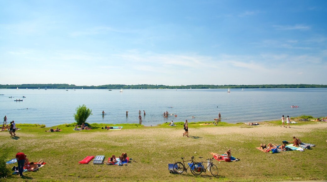 Lago Cospudener mostrando un lago o abrevadero y también un gran grupo de personas