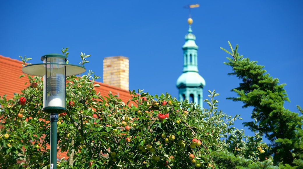 Cospudener Lake which includes a city