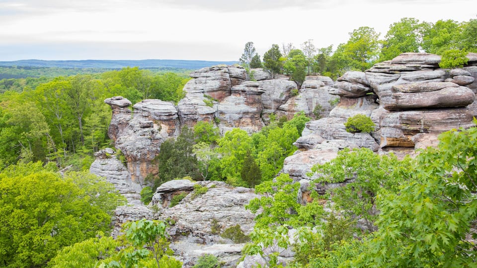 A rocky outcrop with layered rock formations surrounded by dense green foliage.