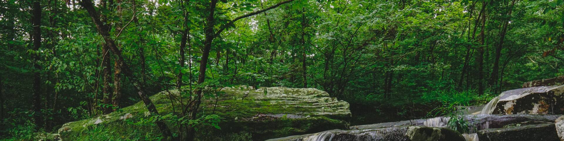 southern illinois