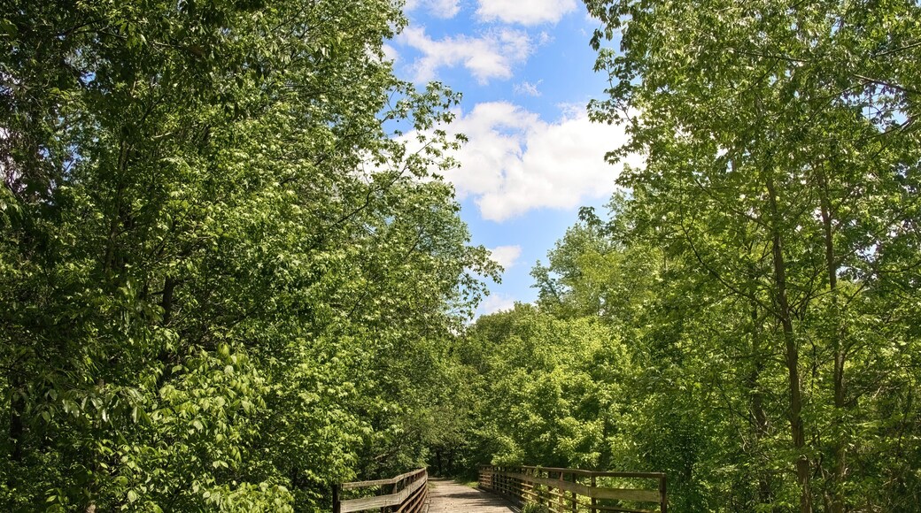 Creal Springs