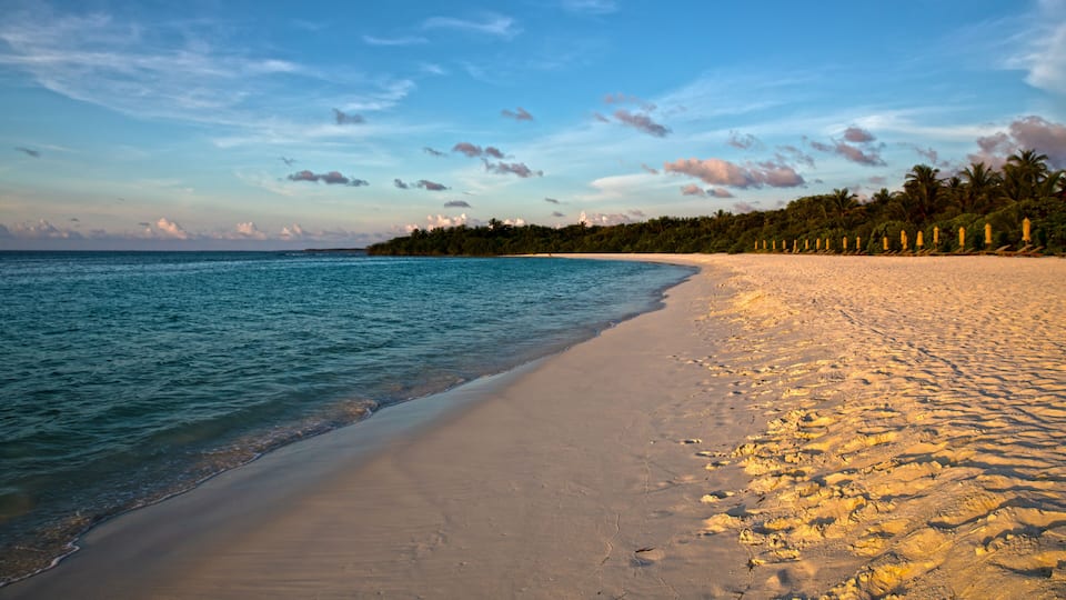 A beach with clear blue water, sandy shore, and palm trees in the background.