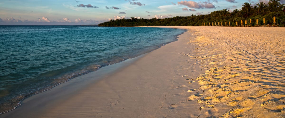 A beach with clear blue water, sandy shore, and palm trees in the background.