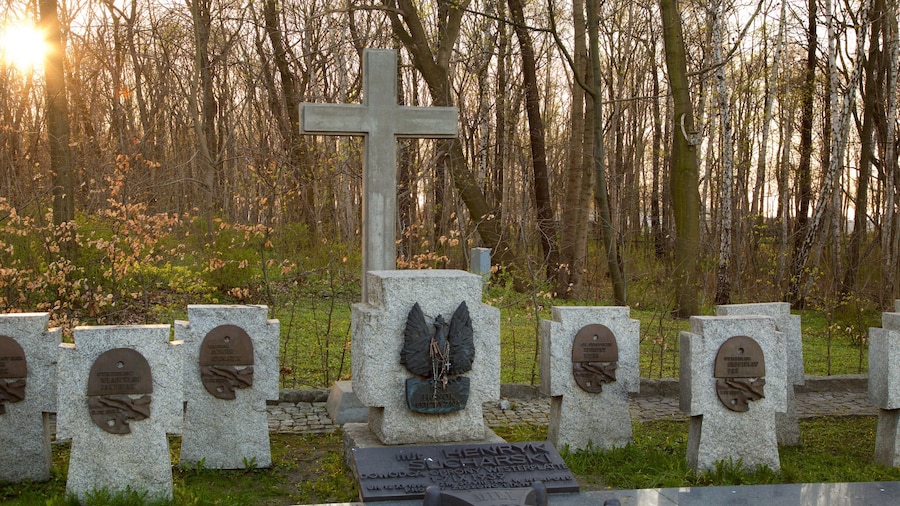 Westerplatte Monument showing a cemetery