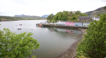 Portree Harbour showing a bay or harbor, boating and a lake or waterhole